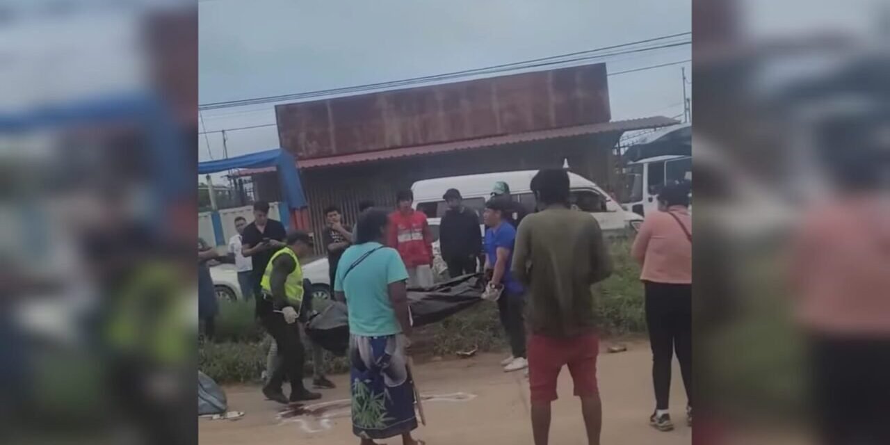 MUERE MIEMBRO DE LA COMUNIDAD AYOREA TRAS SER ATROPELLADO POR UN MICRO