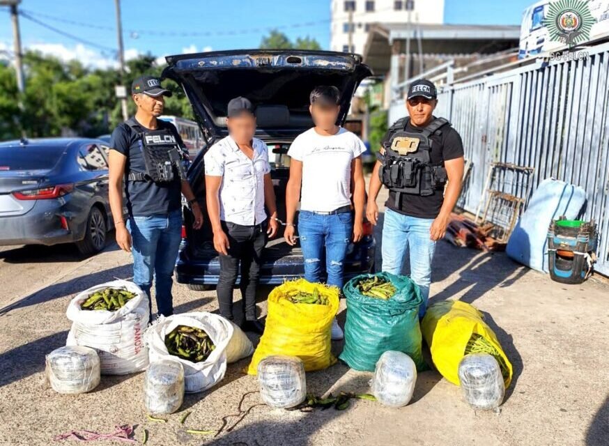 FELCN INTERCEPTA VEHÍCULO CON MARIHUANA Y DETIENE A DOS PERSONAS
