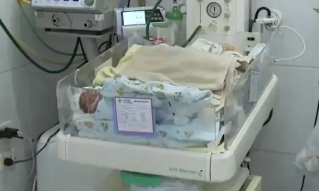 NEONATOLOGÍA AL LÍMITE: RECIÉN NACIDOS HACINADOS EN LA PERCY BOLAND