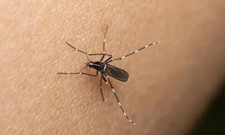 SEDES CONFIRMA PRIMER FALLECIDO POR CHIKUNGUNYA EN SANTA CRUZ