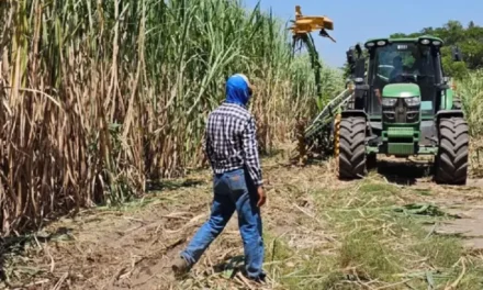 SECTOR CAÑERO EN EMERGENCIA ANTE POSIBLE AJUSTE EN LA POLÍTICA DE ADQUISICIÓN DE ETANOL