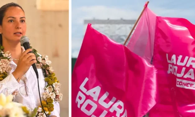 TED ACEPTA RENUNCIA DE LA CANDIDATA A CONCEJAL LAURA ROJAS