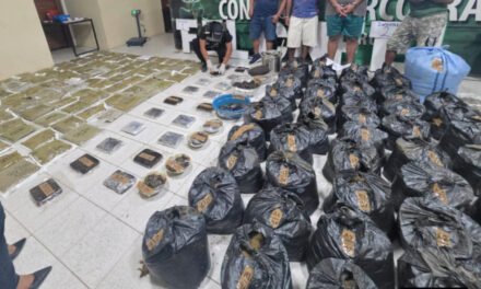 FELCN INCAUTA MÁS DE 600 KILOS DE DROGA EN SANTA CRUZ