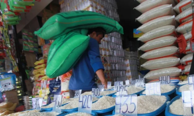 IMPORTACIÓN DE ARROZ SUSPENDIDA HASTA EL FIN DE LA COSECHA DE VERANO