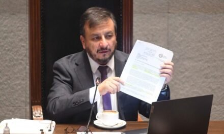 SENADO CRITICA INFORME DE MEDINACELI SOBRE COMBUSTIBLE