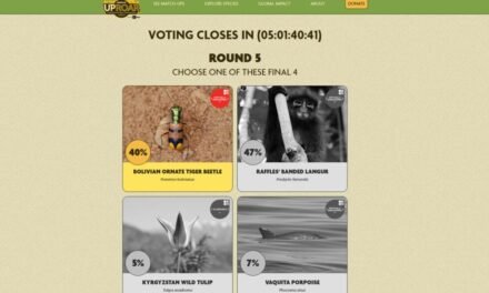 EL ESCARABAJO TIGRE DE LA CHIQUITANIA COMPITE POR GANAR CERTAMEN INTERNACIONAL