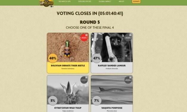 EL ESCARABAJO TIGRE DE LA CHIQUITANIA COMPITE POR GANAR CERTAMEN INTERNACIONAL