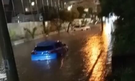 LLUVIAS PROVOCAN CAÍDA DE ÁRBOLES E INUNDACIONES EN SANTA CRUZ