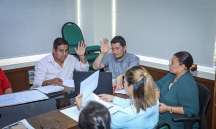 ALD TRATARÁ EN PLENO LA SUPLENCIA TEMPORAL EN LA GOBERNACIÓN