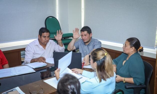 ALD TRATARÁ EN PLENO LA SUPLENCIA TEMPORAL EN LA GOBERNACIÓN