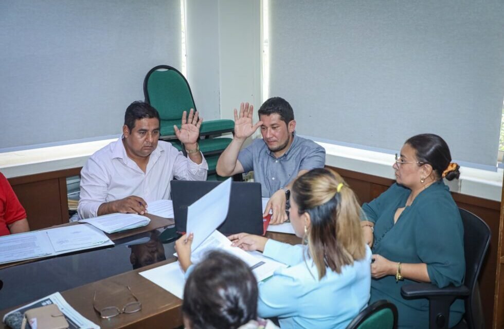 ALD TRATARÁ EN PLENO LA SUPLENCIA TEMPORAL EN LA GOBERNACIÓN