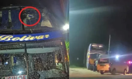 DOS MUERTOS TRAS CAÍDA DE ROCAS SOBRE BUS EN EL TRAMO PETACAS–BERMEJO