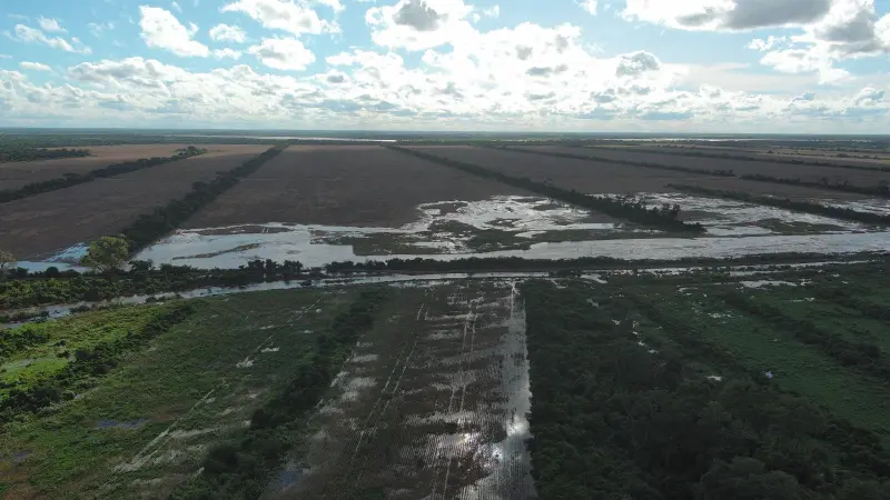 CAO ADVIERTE DIFICULTADES EN LA COSECHA POR RECIENTES LLUVIAS