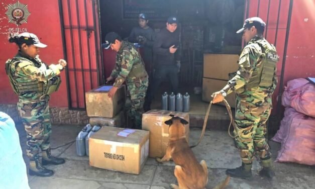 FELCN DECOMISA 162 PAQUETES DE MARIHUANA EN ENCOMIENDAS EN TARIJA