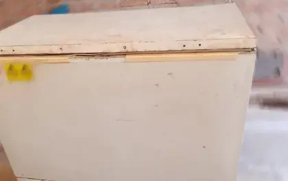 DOS NIÑOS FUERON ENCONTRADOS MUERTOS DENTRO DE UN REFRIGERADOR