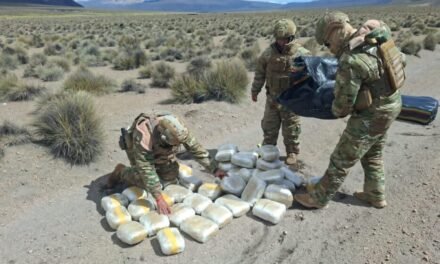 INCUTAN 223 PAQUETES DE MARIHUANA EN OPERATIVO FRONTERIZO CON CHILE