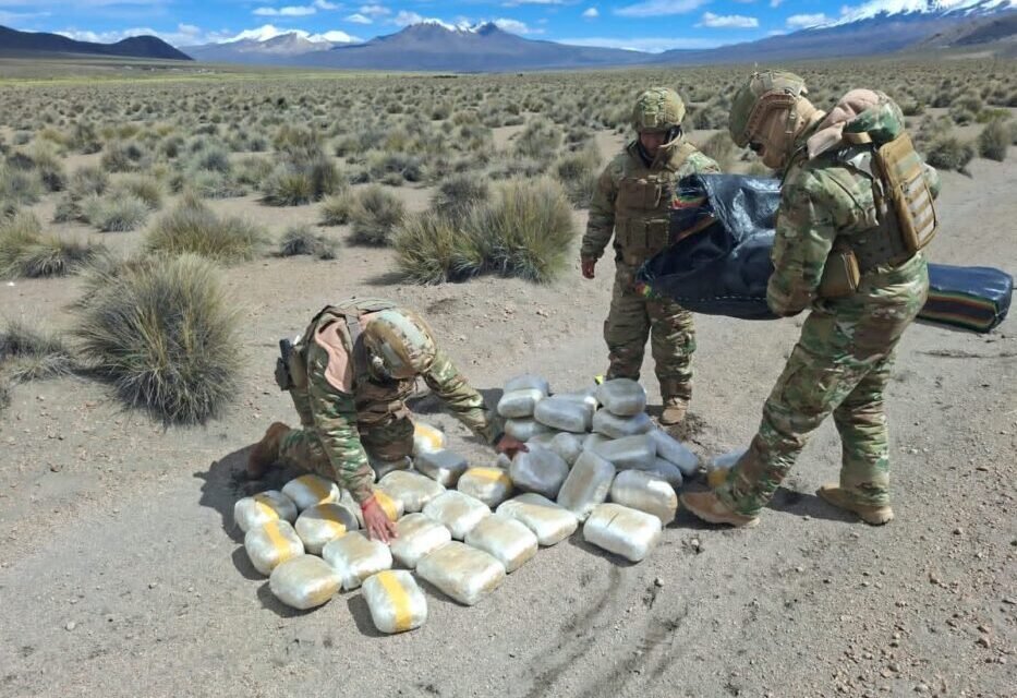 INCUTAN 223 PAQUETES DE MARIHUANA EN OPERATIVO FRONTERIZO CON CHILE