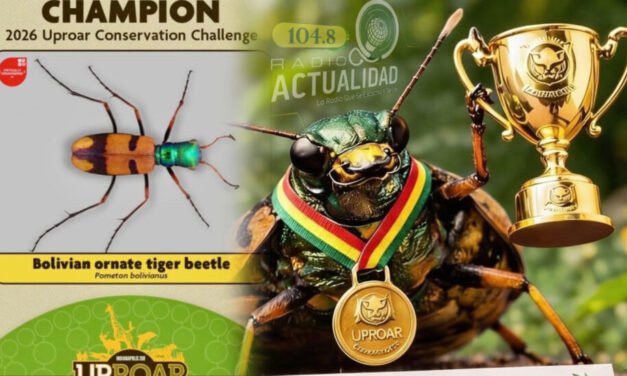 NUESTRO ESCARABAJO TIGRE CAMPEÓN DEL MUNDO