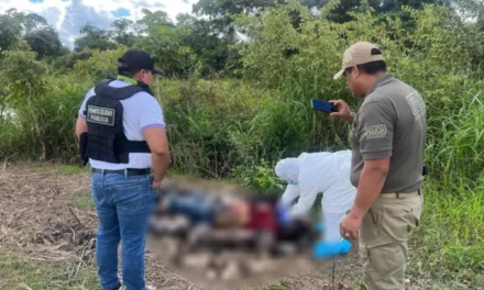 CUERPO SIN VIDA HALLADO EN CARRETERA SANTA CRUZ-BENI