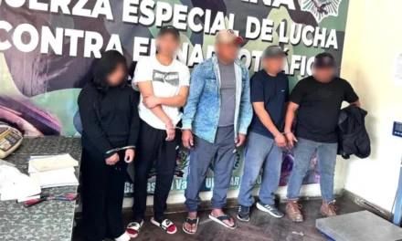 FELCN INCAUTA 201 PAQUETES DE DROGA EN COCHABAMBA