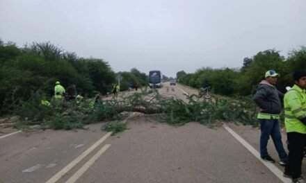SE LEVANTA BLOQUEO EN IBIBOBO Y REABRE RUTA HACIA PARAGUAY