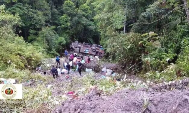 LA PAZ: BUS SE EMBARCÓ EN TOLAPAMPA Y DEJA AL MENOS SEIS FALLECIDOS