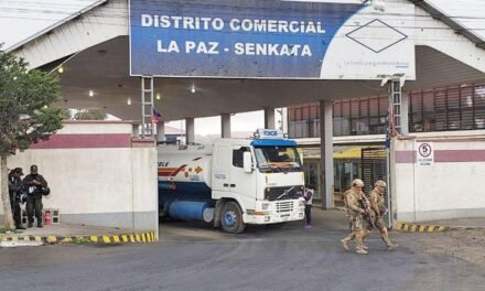 YPFB FRENA INGRESO DE DIÉSEL ADULTERADO EN SENKATA Y APREHENDEN A CONDUCTOR