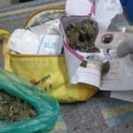 FELCN INCAUTA MARIHUANA OCULTA EN ENCOMIENDA CON DESTINO A BULO BULO