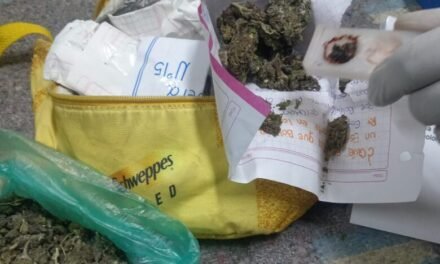 FELCN INCAUTA MARIHUANA OCULTA EN ENCOMIENDA CON DESTINO A BULO BULO