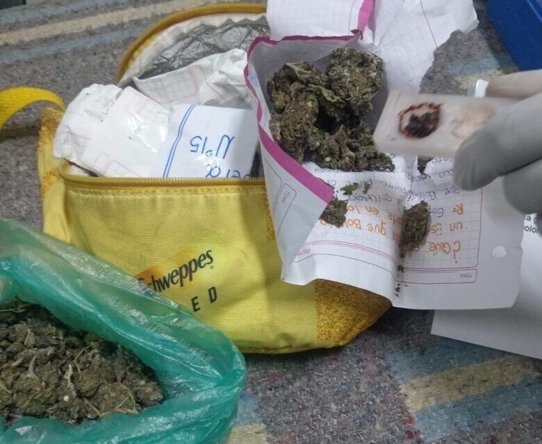 FELCN INCAUTA MARIHUANA OCULTA EN ENCOMIENDA CON DESTINO A BULO BULO