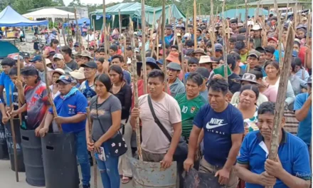 COCALEROS REFUERZAN VIGILIA EN LAUCA Ñ Y BRINDAN RESPALDO A EVO