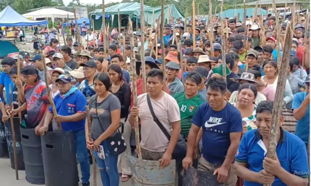 COCALEROS REFUERZAN VIGILIA EN LAUCA Ñ Y BRINDAN RESPALDO A EVO