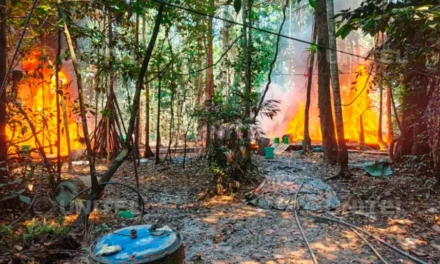 FELCN DESTRUYEN 37 FÁBRICAS DE DROGA EN MEGAOPERATIVO NACIONAL