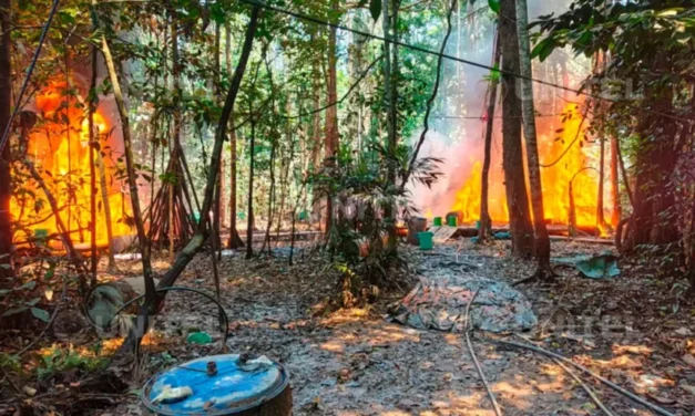FELCN DESTRUYEN 37 FÁBRICAS DE DROGA EN MEGAOPERATIVO NACIONAL