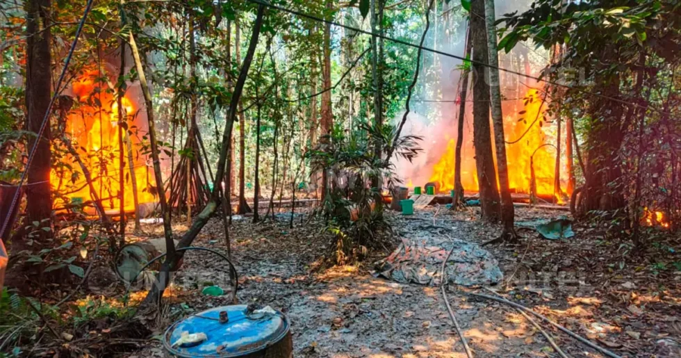 FELCN DESTRUYEN 37 FÁBRICAS DE DROGA EN MEGAOPERATIVO NACIONAL