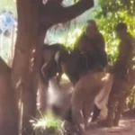 POLICÍA INVESTIGA PRESUNTA PARTICIPACIÓN DEL PCC EN BALACERA EN SAN MATÍAS