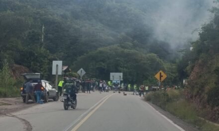 SECTOR TRANSPORTE PARALIZA ACTIVIDADES POR EL MAL ESTADO DE LA VÍA BERMEJO–PETACA