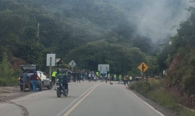 SECTOR TRANSPORTE PARALIZA ACTIVIDADES POR EL MAL ESTADO DE LA VÍA BERMEJO–PETACA