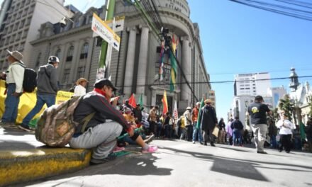 PROTESTA POR LA LEY 1720 LLEGA A PUERTAS DE LA VICEPRESIDENCIA EN LA PAZ