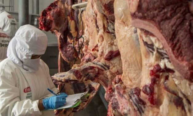 SECTOR GANADERO REPORTA PÉRDIDAS DE $US 1,5 MILLONES DIARIOS POR BLOQUEOS