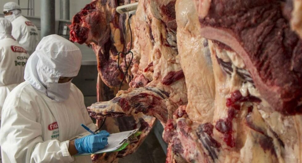SECTOR GANADERO REPORTA PÉRDIDAS DE $US 1,5 MILLONES DIARIOS POR BLOQUEOS