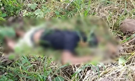 HALLAN A HOMBRE ACRIBILLADO EN EL TRÓPICO DE COCHABAMBA