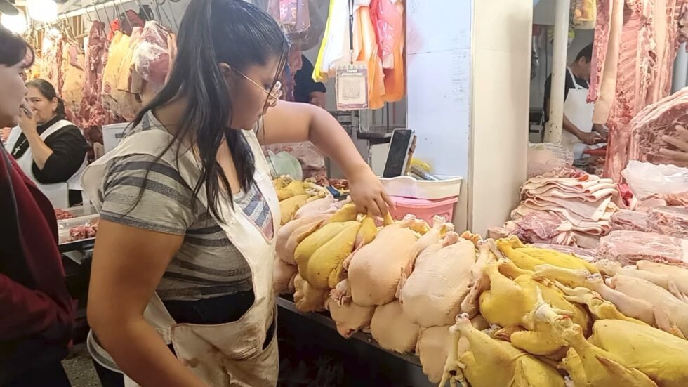 BAJAN LOS PRECIOS DEL POLLO, CERDO Y VERDURAS EN EL ANTIGUO ABASTO