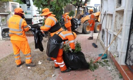 EMACRUZ EJECUTA PLAN DE LIMPIEZA EN CEMENTERIOS, MERCADOS Y MICROBASURALES