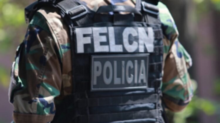GOBIERNO DESPLIEGA MÁS DE 600 POLICÍAS EN OPERATIVOS DE SEGURIDAD EN SANTA CRUZ