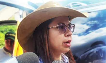 DIANA ROMERO DEFENDIÓ ABROGACIÓN DE LA LEY 1720 Y PIDIÓ RESPETO A SU VOTO