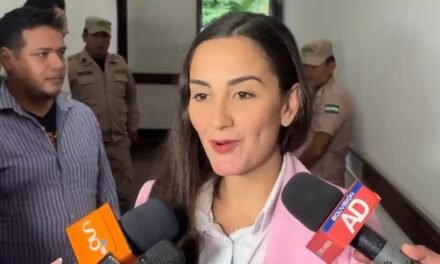 CONCEJO MUNICIPAL APRUEBA LEY PARA PROTEGER PREDIOS DEL MERCADO MUTUALISTA
