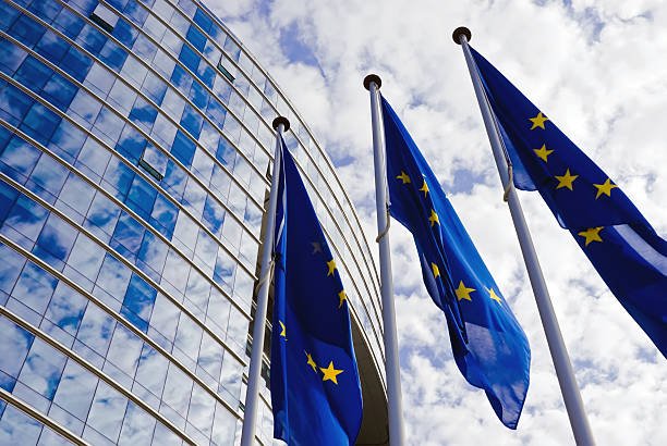 LA UNIÓN EUROPEA CONVOCA AL DIÁLOGO EN BOLIVIA Y CONDENA ACTOS DE VIOLENCIA