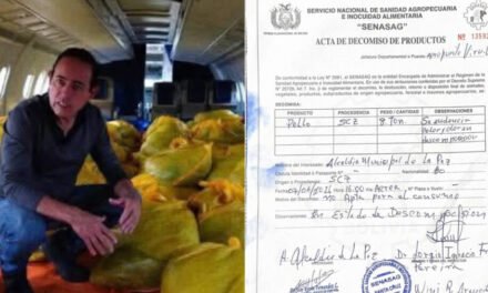HALLAN 8 TONELADAS DE POLLO EN DESCOMPOSICIÓN LISTAS PARA SER TRASLADADAS A LA PAZ