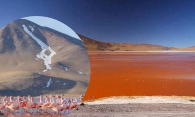 LAGUNA COLORADA SORPRENDE A LA NASA DESDE EL ESPACIO